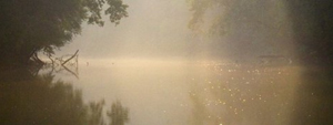 Green River at dawn